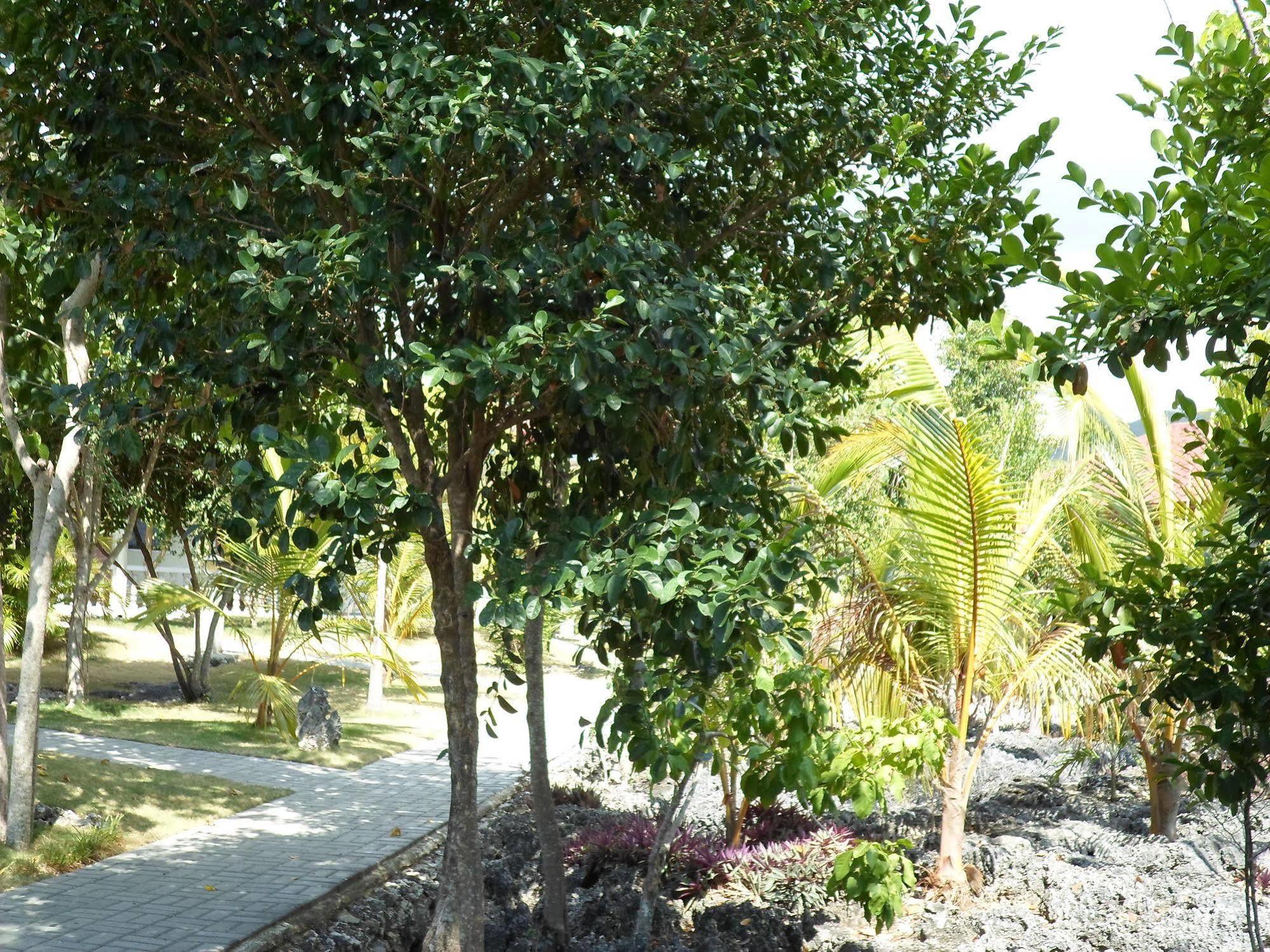 Meili Beach Resort Alcoy Exterior photo